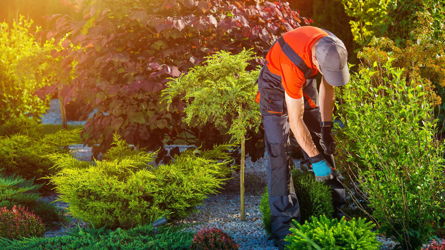 Landscaping