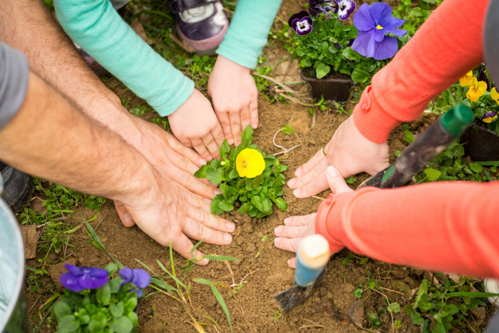 Planting